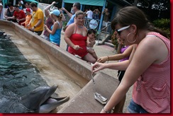 Laura voert dolfijn