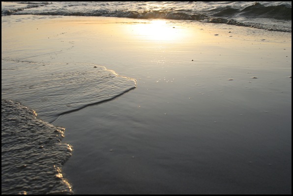 IMG_0715