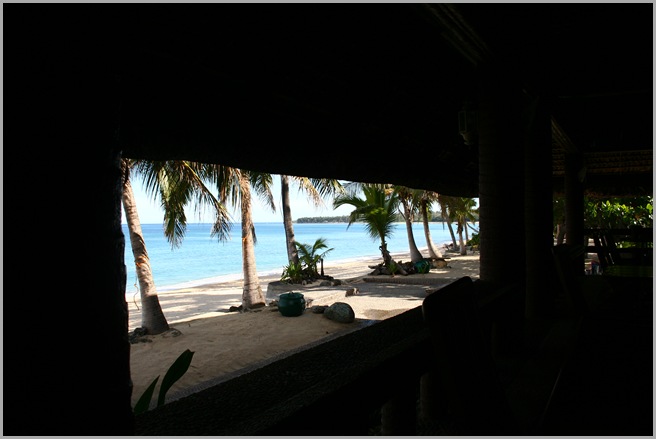 IMG_2235 IMG_2235