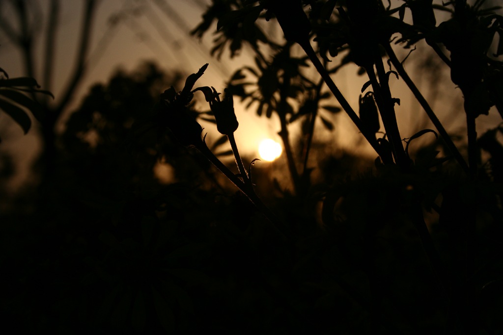 [IMG_48953.jpg]
