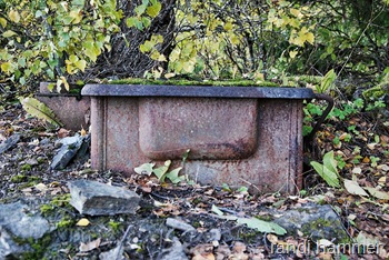 DSC_0058 DSC_0058