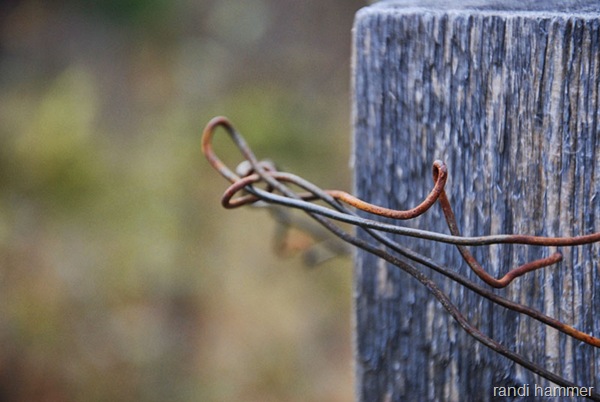 DSC_0074 DSC_0074