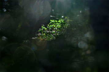 [DSC_0021[3].png]