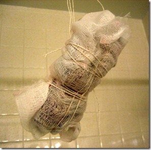 IMG_6358 IMG_6358