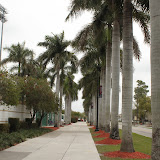 IMG_1387.JPG