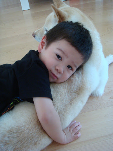 love this one, too. ataris a great body pillow!