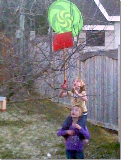 tree