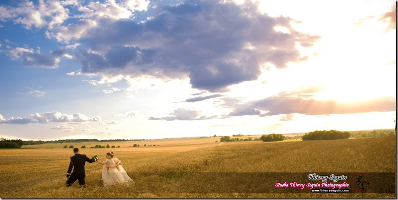 séance portraits de couple dans les blés