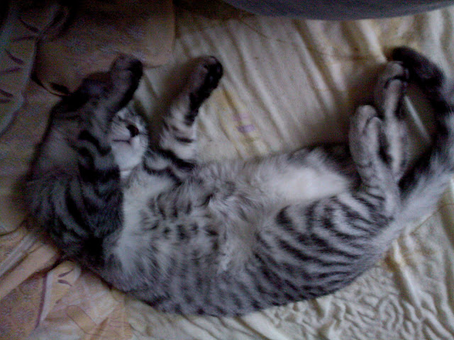 Lunka