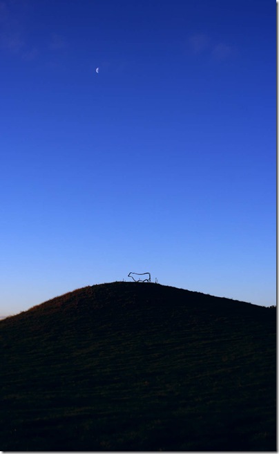 bull on the hill bull on the hill