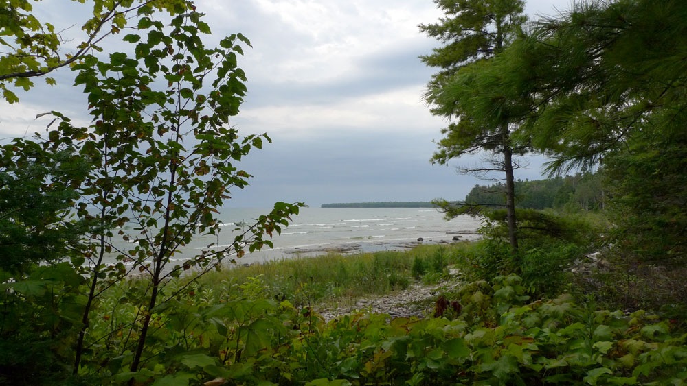 [P1000348-w[2].jpg]