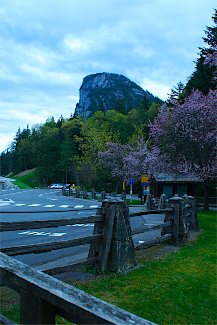 瀑布外，山峰、樱花。