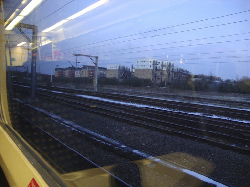 DSC00716.jpg
