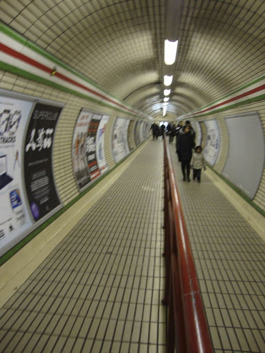 DSC00741.jpg