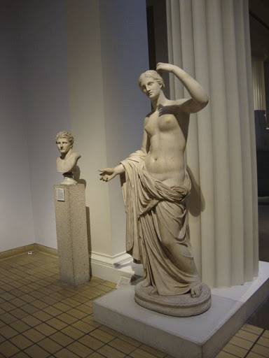 DSC00801.jpg