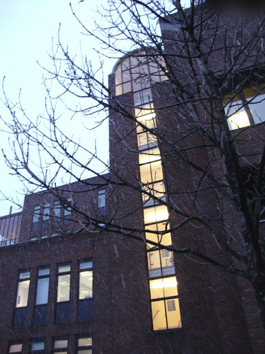 DSC00942.jpg