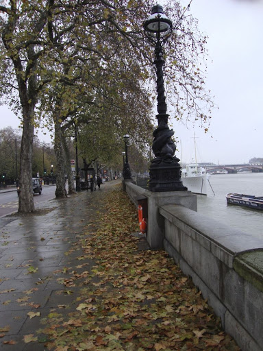 DSC00908.jpg