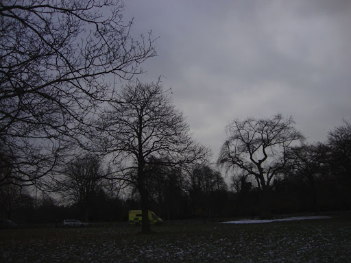 DSC01046.jpg