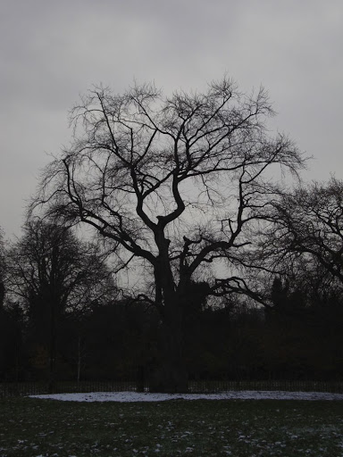 DSC01047.jpg
