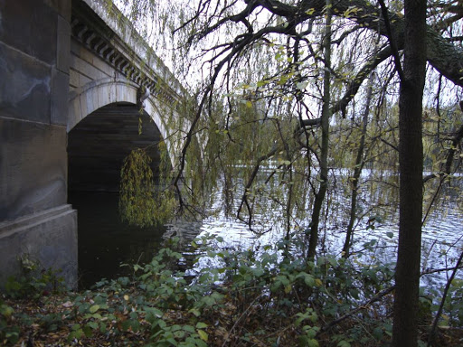 DSC01060.jpg