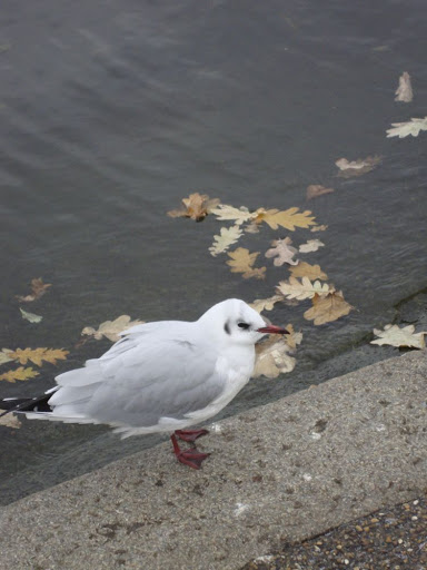 DSC01067.jpg