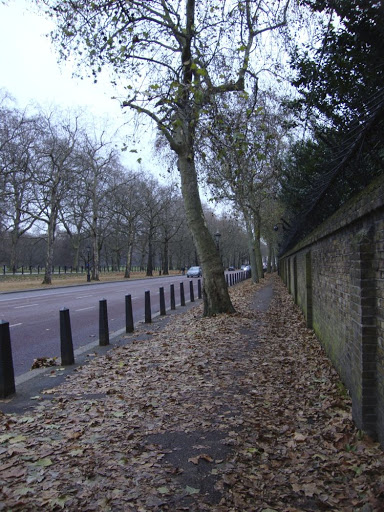 DSC01149.jpg