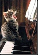 cat_on_keys_singing $282$29