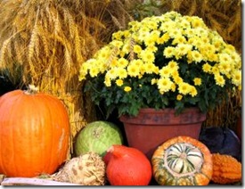 Neighbor Porch 1010