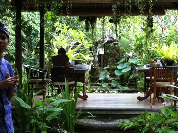 cafewayan1