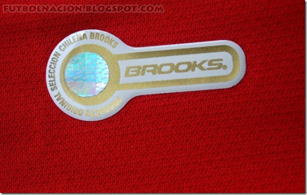 chile brooks 2010 a detalle