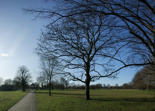 [Clapham Common 30.01.10[4].jpg]