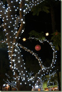 SONY DSC