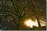 DSC08426_7_8