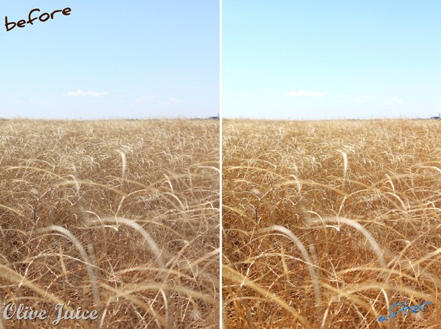 [FieldSkyBeforeAfter[11].jpg]