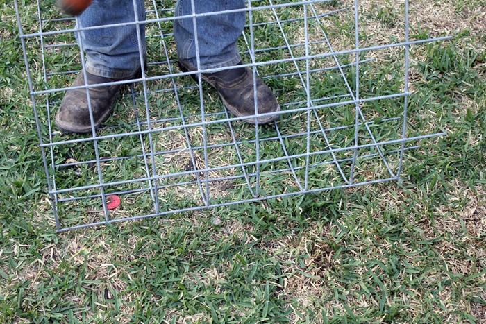 Wire Fencing 4
