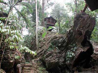 forester park, bislig city