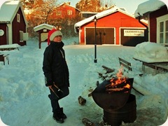 2010-12-12 003 (500x375)