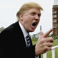 [idiot[4].jpg]