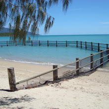 image: Dingo Bay