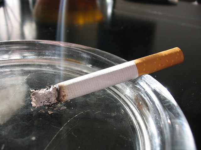 [rokok2.jpg]