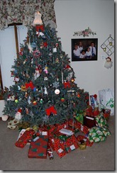 DSC_1501 DSC_1501