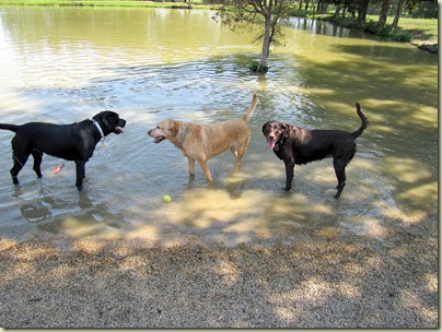 Rigg's,Jodie,&Coco08-07-10a