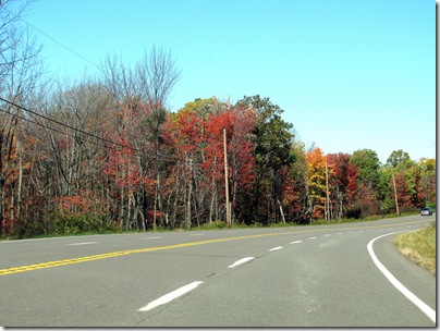 fallcolors10-10-10a