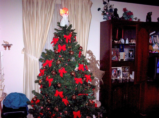 [Christmastree[2].jpg]