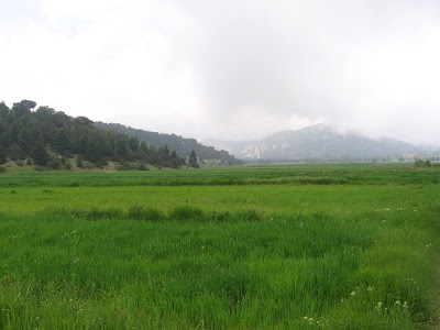 les montagnes semblent tremper leurs pied dans ce lac de verdure
