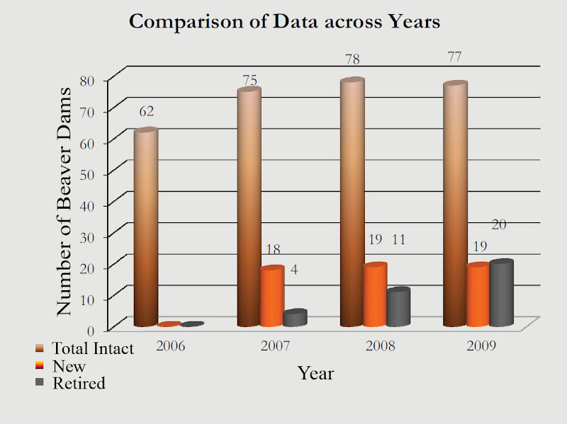 Beaver Dam Graph
