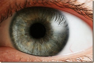 ojo20humano