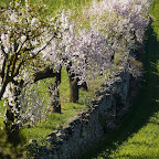 Viajar sin prisa a la Comarca de La Segarra, Lleida, Cataluña