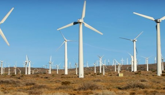 [casimcea1[4].jpg]