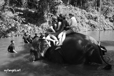 Kuala Gandah Elephant Sanctuary - Elephant Ride